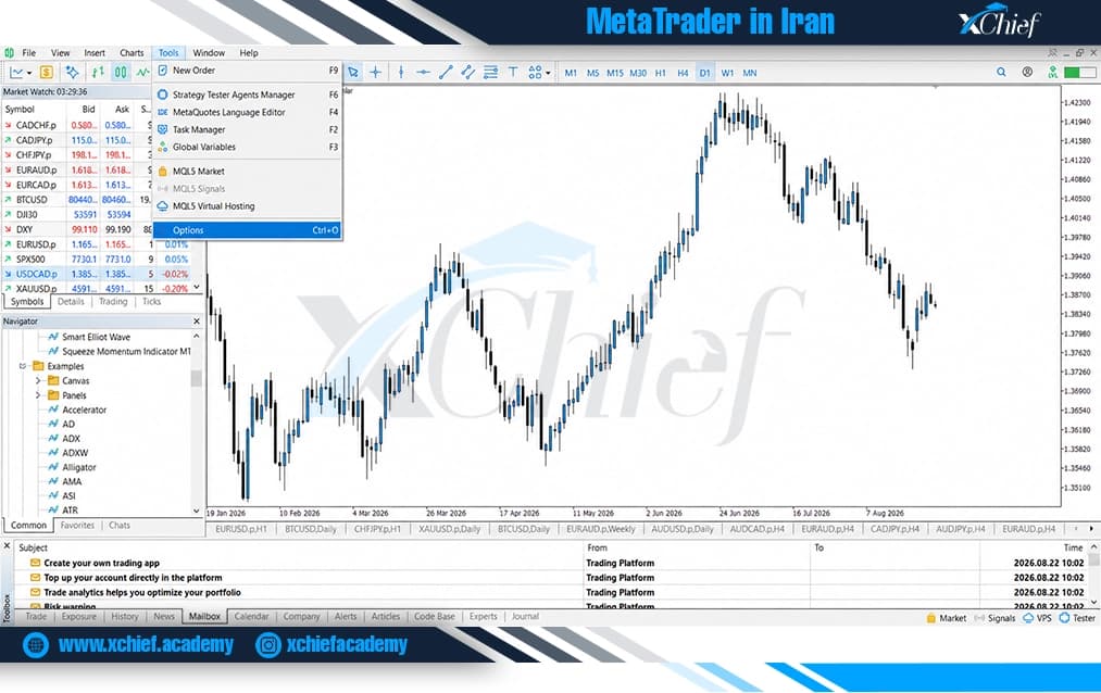 ورود به بخش تنظیمات (Option) متاتریدر