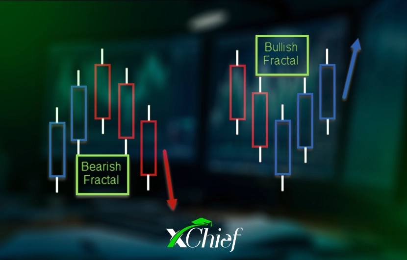فراکتال در فارکس چیست؟